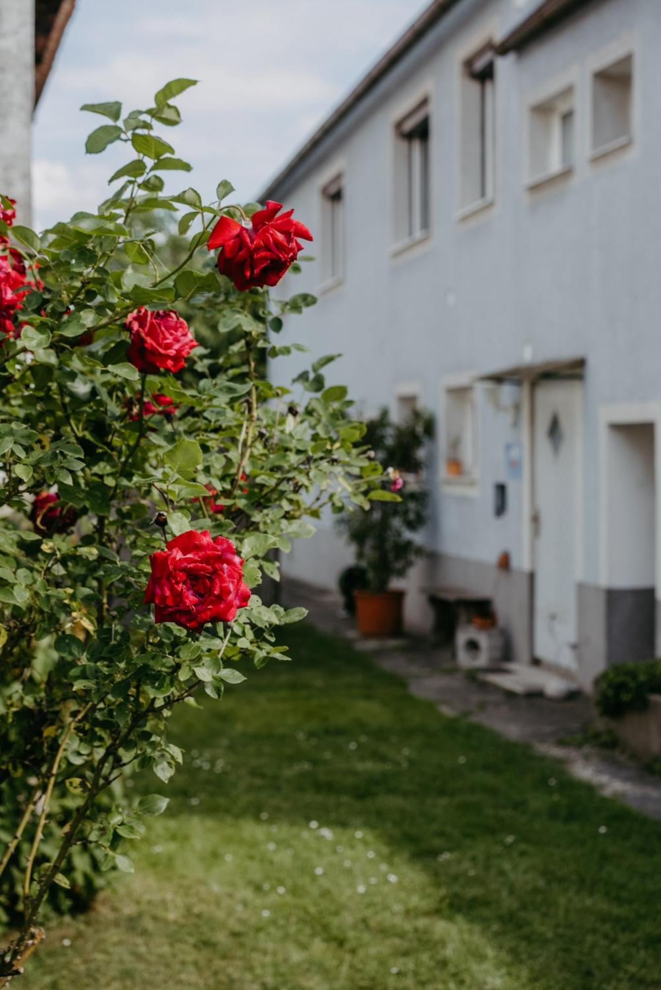 Ferienwohnung Morgensonne Schützen am Gebirge Esterno foto